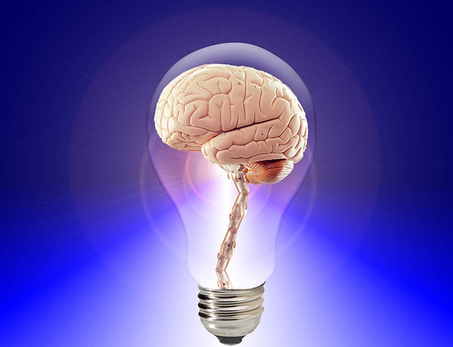 mozek a žárovka