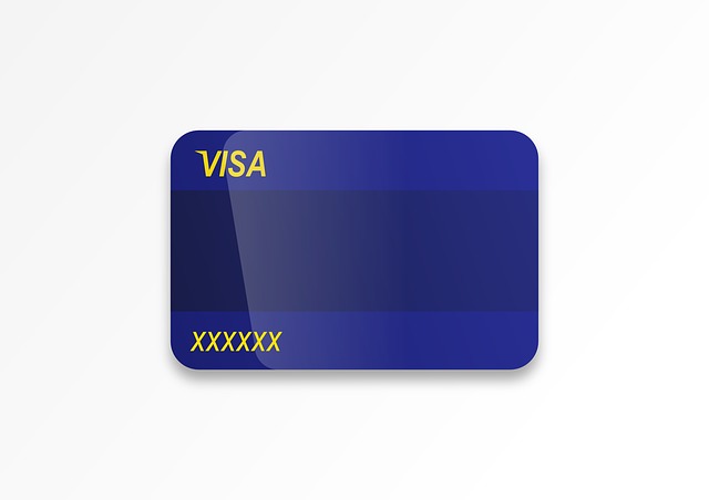 visa karta
